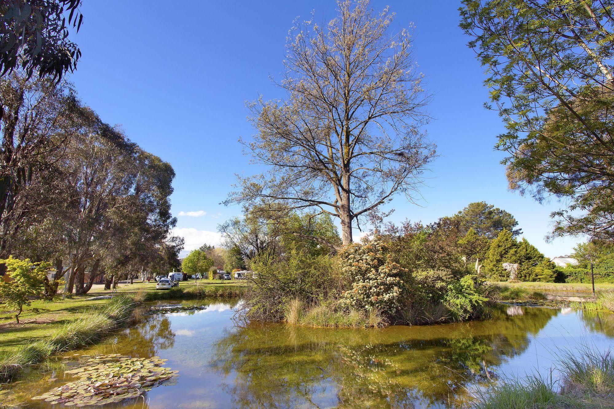 Armidale Tourist Park Hotel Eksteriør billede